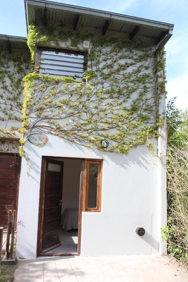 דירות מר דל פלאטה Casita Moderna Frente Al Bosque מראה חיצוני תמונה