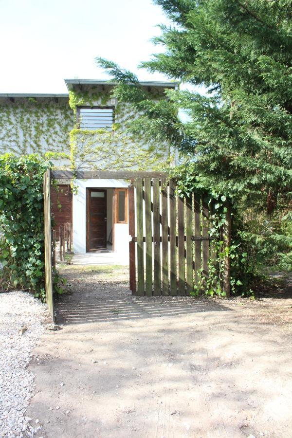 דירות מר דל פלאטה Casita Moderna Frente Al Bosque מראה חיצוני תמונה